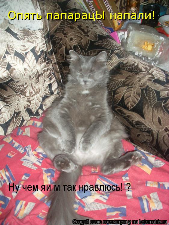 Опять папарацЫ напали! Ну чем яим так нравлюсь! Уже слепят Опять папарацЫ напали! Ну чем яи м так нр... Котоматрица: Опять папарацЫ напали! Ну чем яим так нравлюсь! Уже слепят Опять папарацЫ напали! Ну чем яи м так нравлюсь! ?