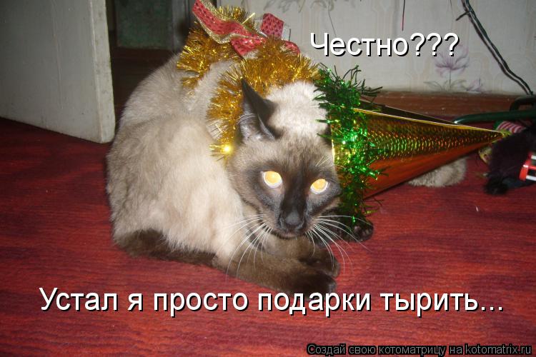 Честно??? Устал я просто подарки тырить...... Котоматрица: Честно??? Устал я просто подарки тырить...