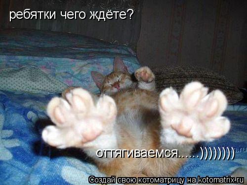ребятки чего ждёте? оттягиваемся......))))))))... Котоматрица: ребятки чего ждёте? оттягиваемся......))))))))