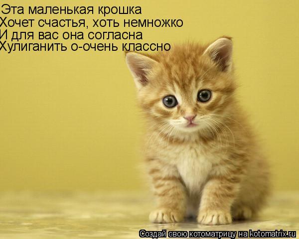 Эта маленькая крошка Хочет счастья, хоть немножко И для вас она согласна Хулиганить о-очень классно... Котоматрица: Эта маленькая крошка Хочет счастья, хоть немножко И для вас она согласна Хулиганить о-очень классно