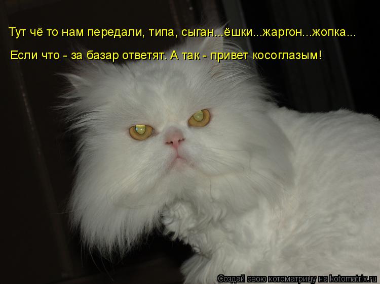 Котоматрица: Тут чё то нам передали, типа, сыган...ёшки...жаргон...жопка... Если что - за базар ответят. А так - привет косоглазым!
