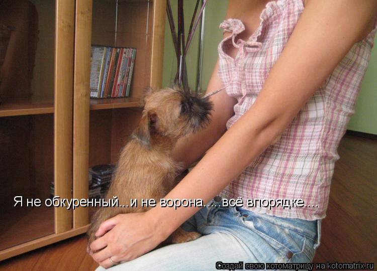 Я не обкуренный...и не ворона.....всё впорядке.... Я не обкуренный...и не ворона.....всё впорядке....... Котоматрица: Я не обкуренный...и не ворона.....всё впорядке.... Я не обкуренный...и не ворона.....всё впорядке....
