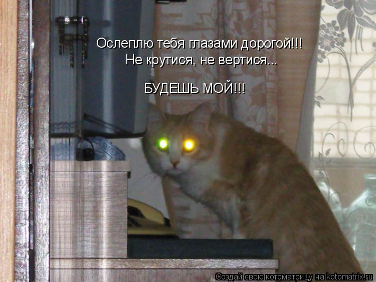 Ослеплю тебя глазами дорогой!!! Не крутися, не вертися... БУДЕШЬ МОЙ!!!... Котоматрица: Ослеплю тебя глазами дорогой!!! Не крутися, не вертися... БУДЕШЬ МОЙ!!!