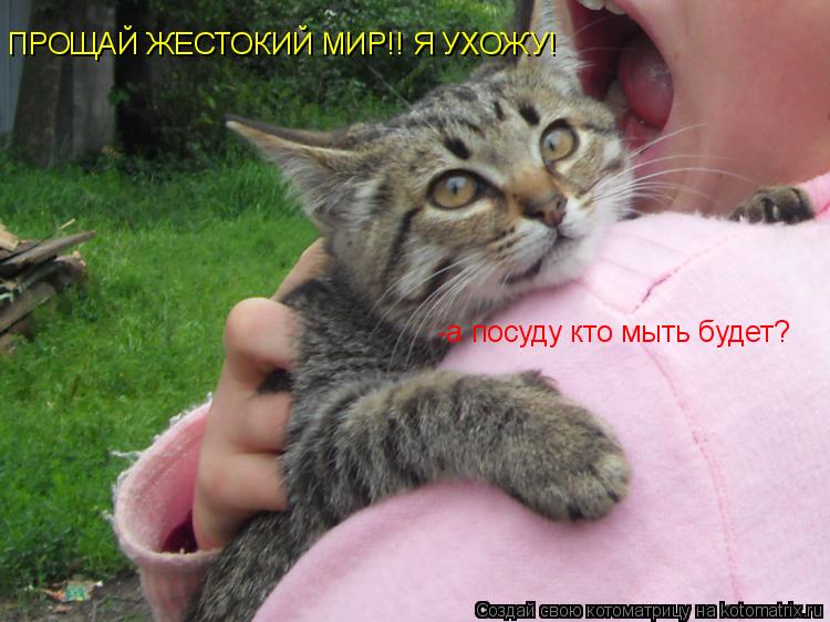 ПРОЩАЙ ЖЕСТОКИЙ МИР!! Я УХОЖУ! -а посуду кто мыть будет?... Котоматрица: ПРОЩАЙ ЖЕСТОКИЙ МИР!! Я УХОЖУ! -а посуду кто мыть будет?