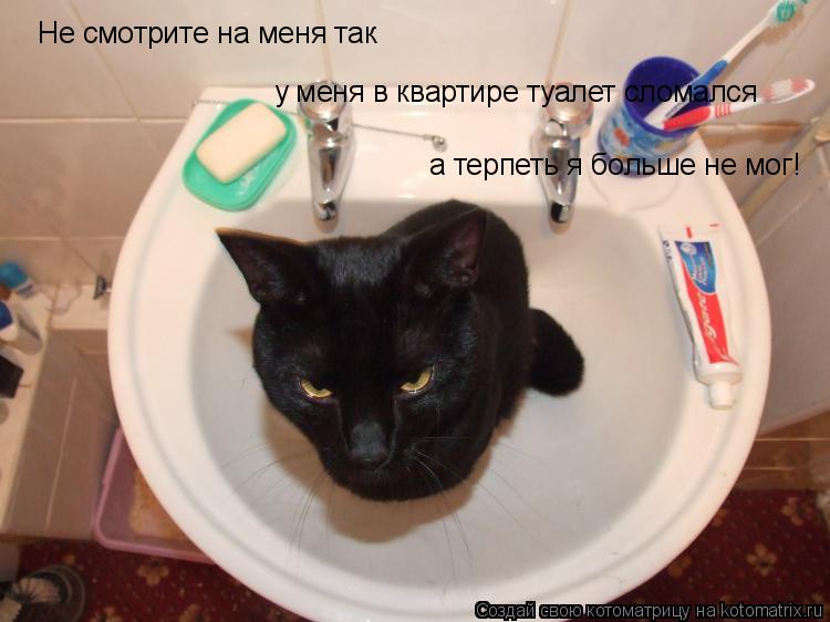Котоматрица: Не смотрите на меня так  у меня в квартире туалет сломался а терпеть я больше не мог!