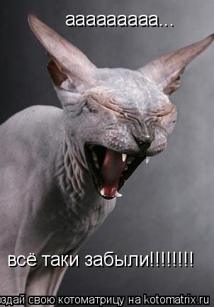 ааааааааа... всё таки забыли!!!!!!!!... Котоматрица: ааааааааа... всё таки забыли!!!!!!!!