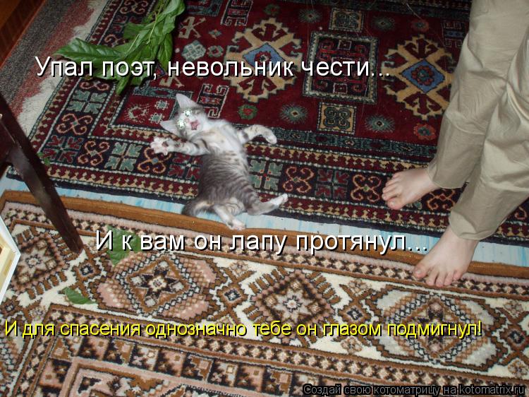 Упал поэт, невольник чести... И к вам он лапу протянул... И для спасения однозначно тебе он глазом по... Котоматрица: Упал поэт, невольник чести... И к вам он лапу протянул... И для спасения однозначно тебе он глазом подмигнул!