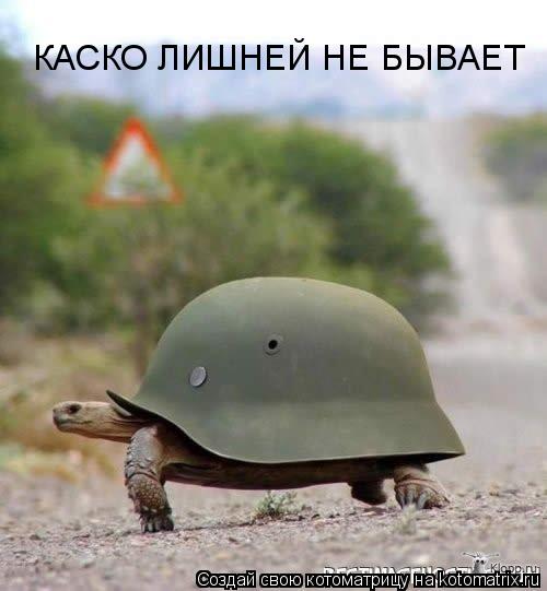 КАСКО ЛИШНЕЙ НЕ БЫВАЕТ... Котоматрица: КАСКО ЛИШНЕЙ НЕ БЫВАЕТ