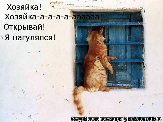 Хозяйка! Хозяйка-a-a-a-a-aaaaaa!! Открывай! Я нагулялся!... Котоматрица: Хозяйка! Хозяйка-a-a-a-a-aaaaaa!! Открывай! Я нагулялся!