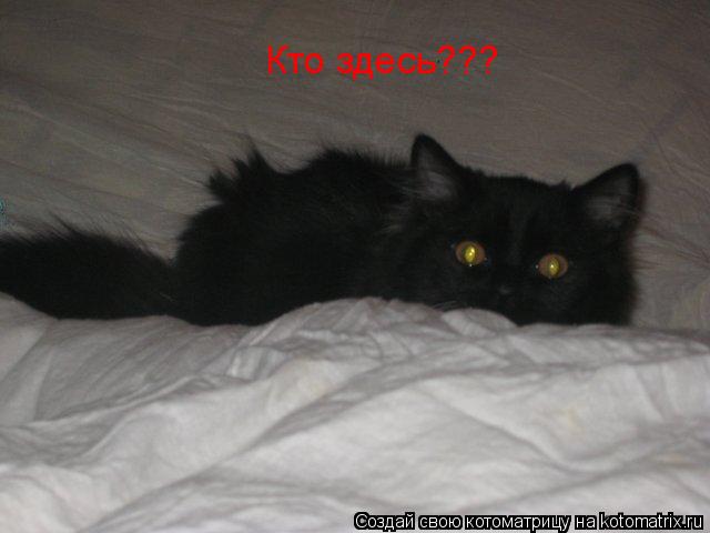 Кто здесь???... Котоматрица: Кто здесь???