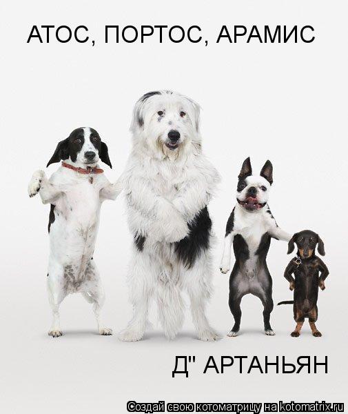 АТОС, ПОРТОС, АРАМИС Д" АРТАНЬЯН... Котоматрица: АТОС, ПОРТОС, АРАМИС Д" АРТАНЬЯН