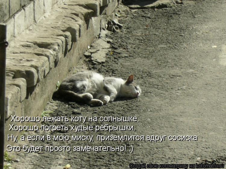 Котоматрица: Хорошо лежать коту на солнышке, Хорошо погреть худые рёбрышки, Ну, а если в мою миску, приземлится вдруг сосиска  Это будет просто замечател