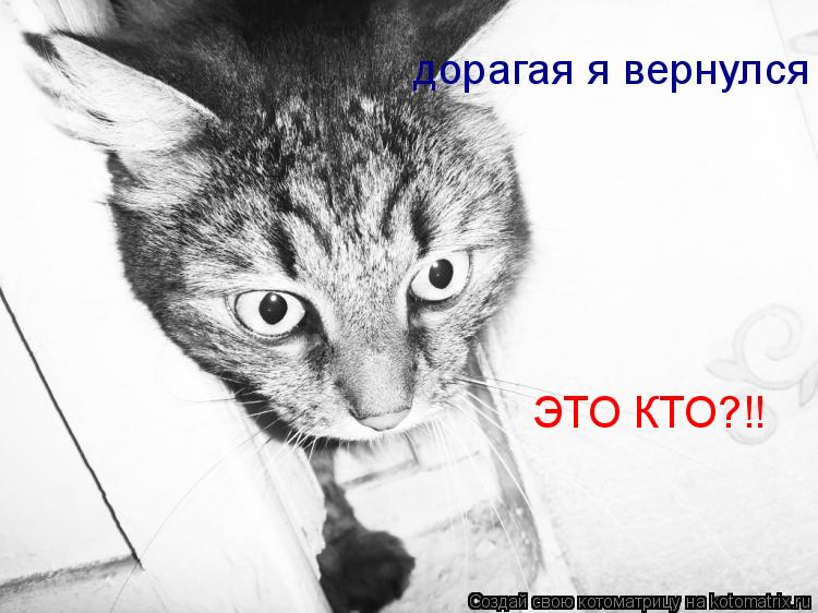 дорагая я вернулся !!! ЭТО КТО?!!... Котоматрица: дорагая я вернулся !!! ЭТО КТО?!!