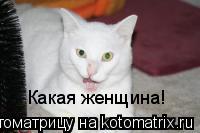 Какая женщина!... Котоматрица: Какая женщина!