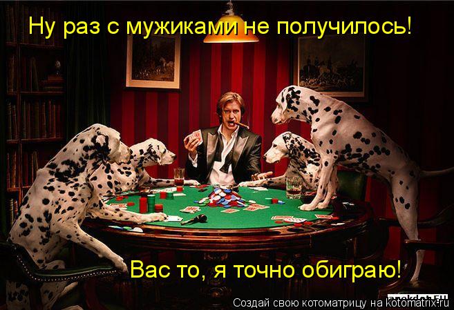 Ну раз с мужиками не получилось! Вас то, я точно обиграю!... Котоматрица: Ну раз с мужиками не получилось! Вас то, я точно обиграю!