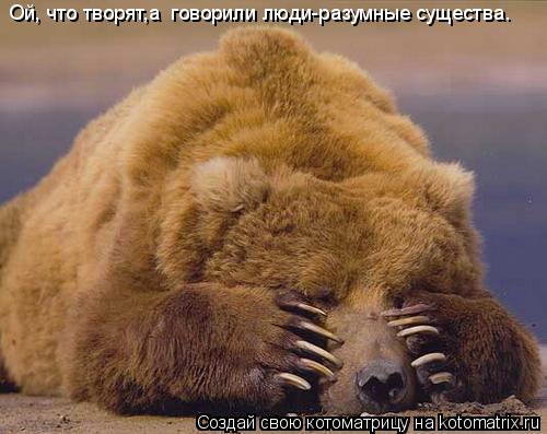 Ой, что творят,а говорили люди-разумные существа.... Котоматрица: Ой, что творят,а говорили люди-разумные существа.