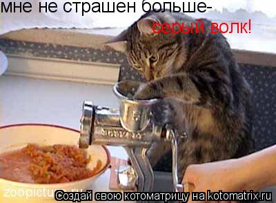 мне не страшен больше- серый волк!... Котоматрица: мне не страшен больше- серый волк!