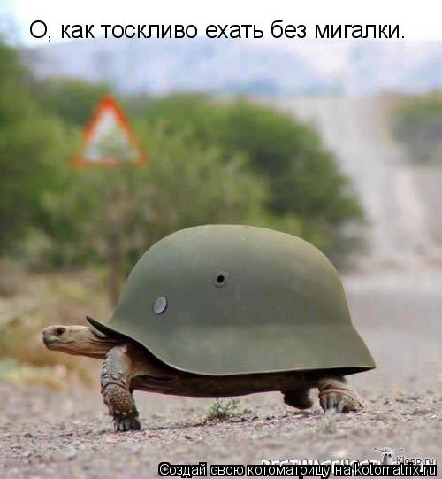 О, как тоскливо ехать без мигалки.... Котоматрица: О, как тоскливо ехать без мигалки.