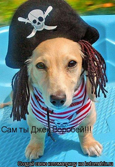 Сам ты Джек Воробей!!!... Котоматрица: Сам ты Джек Воробей!!!
