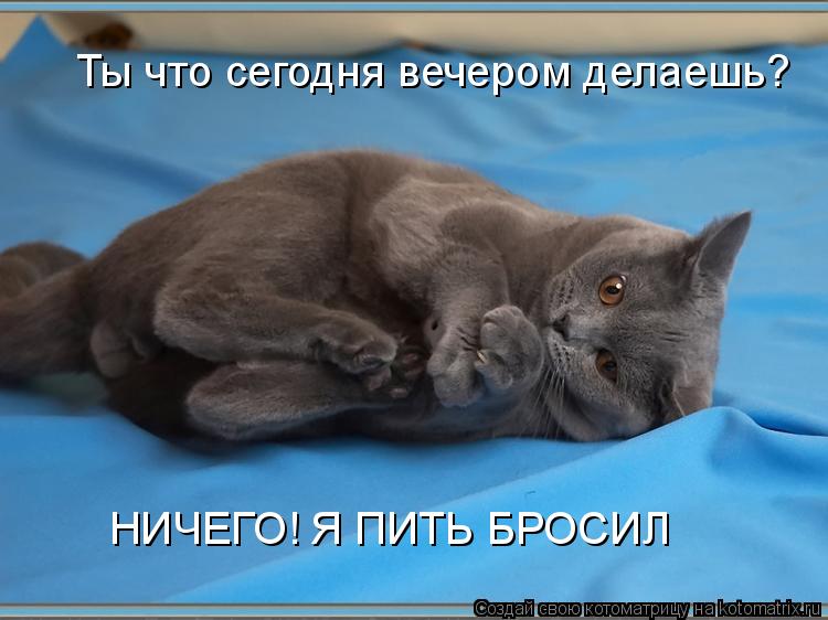 Ты что сегодня вечером делаешь? НИЧЕГО! Я ПИТЬ БРОСИЛ... Котоматрица: Ты что сегодня вечером делаешь? НИЧЕГО! Я ПИТЬ БРОСИЛ