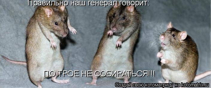 Правильно наш генерал говорит: ПО ТРОЕ НЕ СОБИРАТЬСЯ!!!... Котоматрица: Правильно наш генерал говорит: ПО ТРОЕ НЕ СОБИРАТЬСЯ!!!