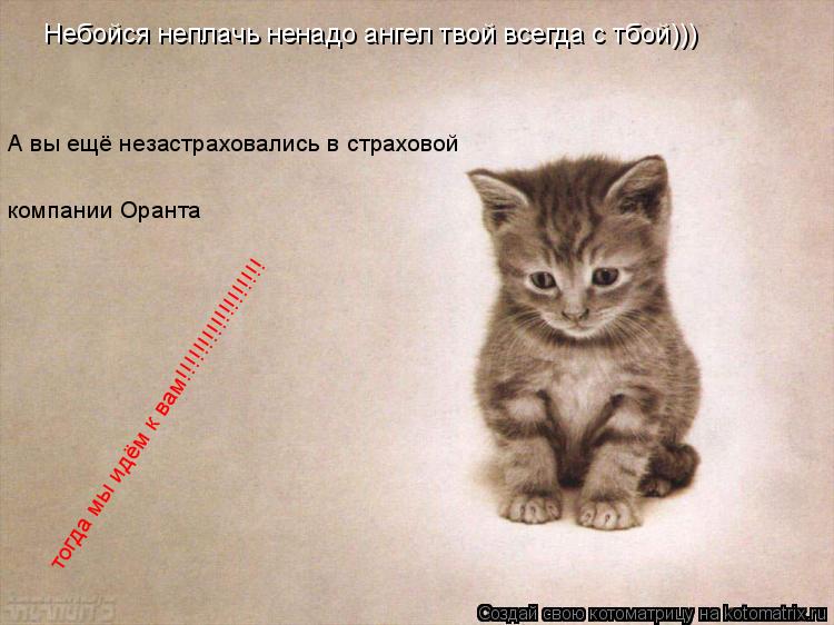 Небойся неплачь ненадо ангел твой всегда с тбой))) А вы ещё незастраховались в страховой компании Ор... Котоматрица: Небойся неплачь ненадо ангел твой всегда с тбой))) А вы ещё незастраховались в страховой компании Оранта тогда мы идём к вам!!!!!!!!!!!!!!!!!! тогда