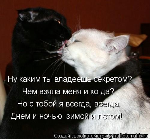 Ну каким ты владеешь секретом? Чем взяла меня и когда? Но с тобой я всегда, всегда, Днем и ночью, ... Котоматрица: Ну каким ты владеешь секретом? Чем взяла меня и когда? Но с тобой я всегда, всегда, Днем и ночью, зимой и летом!