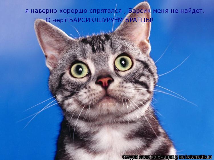 я наверно хороршо спрятался , Барсик меня не найдет. О черт!БАРСИК!ШУРУЕМ БРАТЦЫ!... Котоматрица: я наверно хороршо спрятался , Барсик меня не найдет. О черт!БАРСИК!ШУРУЕМ БРАТЦЫ!