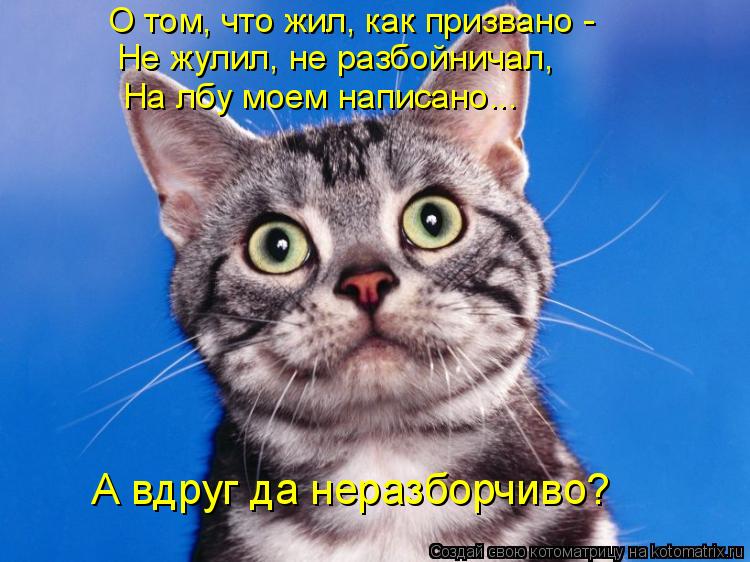 О том, что жил, как призвано - На лбу моем написано... Не жулил, не разбойничал, А вдруг да неразбор... Котоматрица: О том, что жил, как призвано - На лбу моем написано... Не жулил, не разбойничал, А вдруг да неразборчиво?