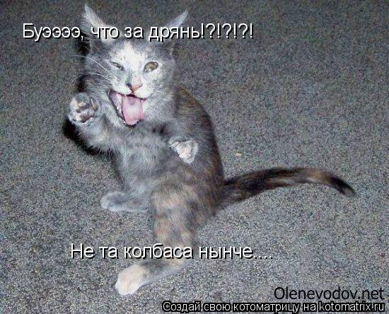 Буээээ, что за дрянь!?!?!?! Не та колбаса нынче....... Котоматрица: Буээээ, что за дрянь!?!?!?! Не та колбаса нынче....