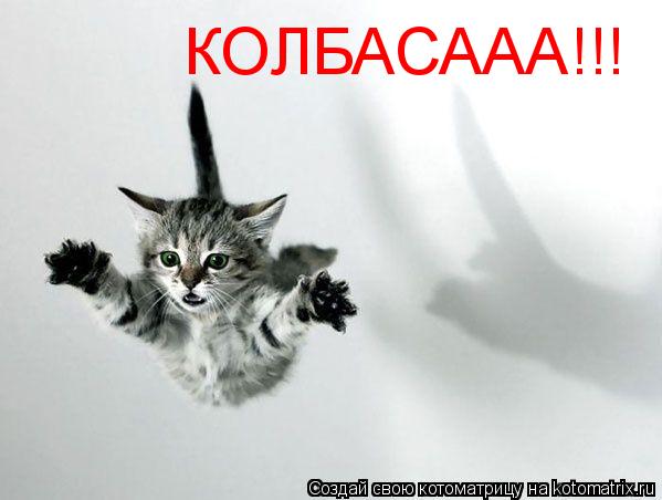 КОЛБАСААА!!!... Котоматрица: КОЛБАСААА!!!
