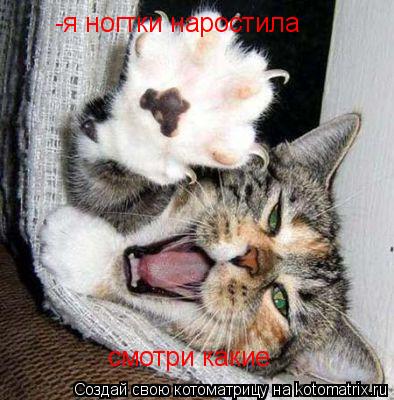 -я ногтки наростила смотри какие... Котоматрица: -я ногтки наростила смотри какие