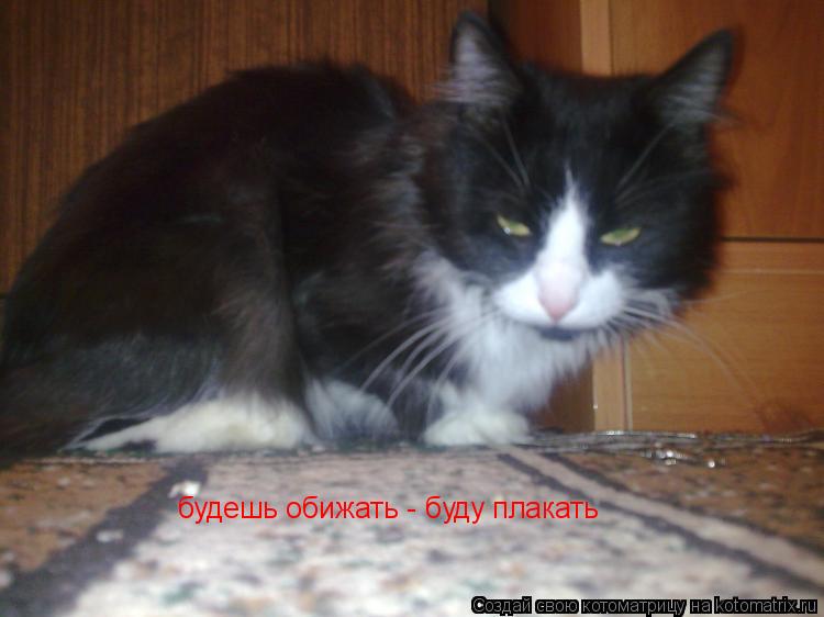 будешь обижать - буду плакать... Котоматрица: будешь обижать - буду плакать