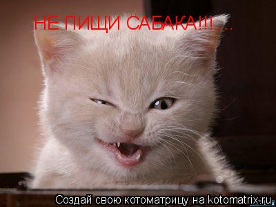 Котоматрица: НЕ ПИЩИ САБАКА!!!....