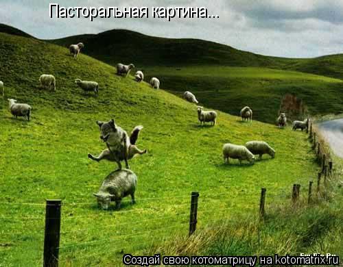 Пасторальная картина...... Котоматрица: Пасторальная картина...