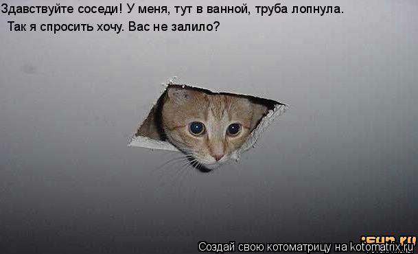 Так я спросить хочу. Вас не залило? Здавствуйте соседи! У меня, тут в ванной, труба лопнула.... Котоматрица: Так я спросить хочу. Вас не залило? Здавствуйте соседи! У меня, тут в ванной, труба лопнула.