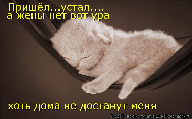 Пришёл...устал.... а жены нет вот ура хоть дома не достанут меня... Котоматрица: Пришёл...устал.... а жены нет вот ура хоть дома не достанут меня