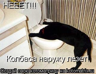 НЕЕЕТ!!! Колбаса наружу лезет!... Котоматрица: НЕЕЕТ!!! Колбаса наружу лезет!