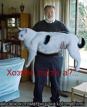 Хозяин, пусти, а?...... Котоматрица: Хозяин, пусти, а?...