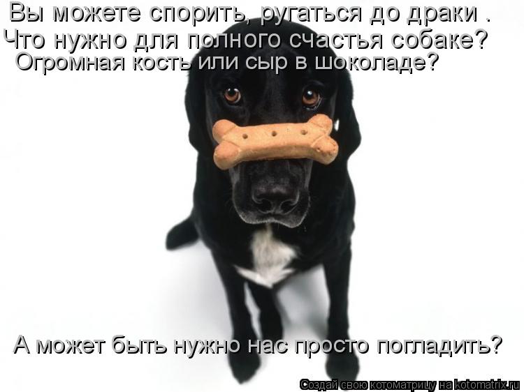Вы можете спорить, ругаться до драки – Что нужно для полного счастья собаке? А может быть нужно нас... Котоматрица: Вы можете спорить, ругаться до драки – Что нужно для полного счастья собаке? А может быть нужно нас просто погладить? Огромная кость или с