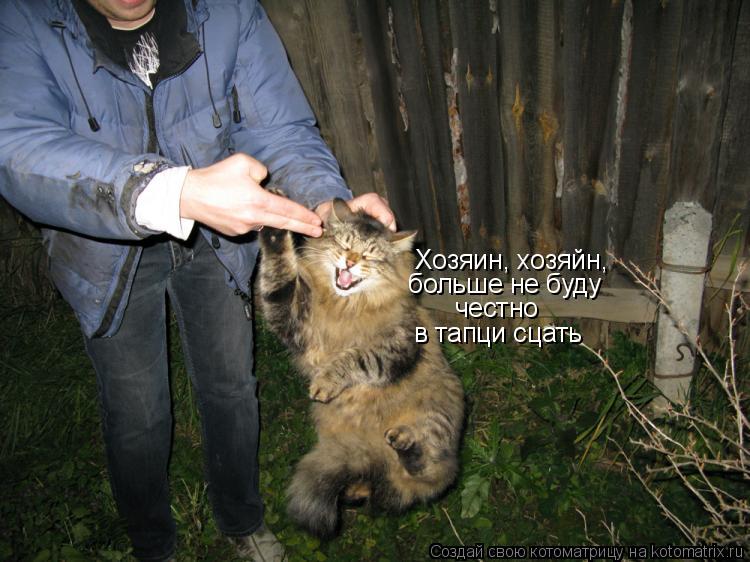 Котоматрица: Хозяин, хозяйн, больше не буду честно в тапци сцать