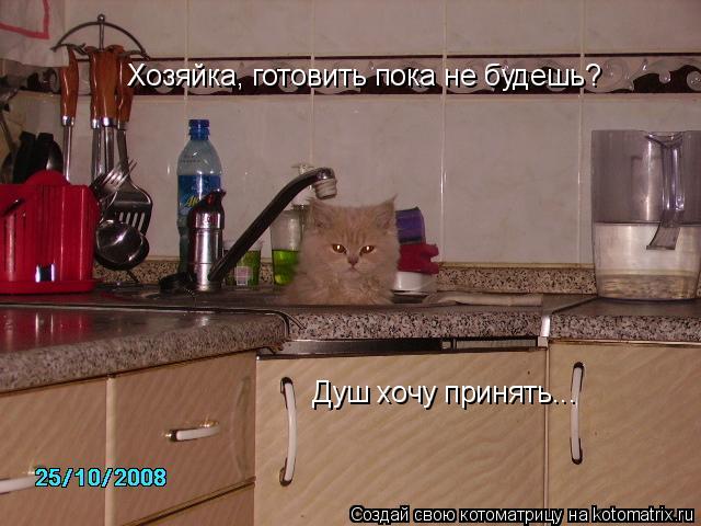 Хозяйка, готовить пока не будешь? Душ хочу принять...... Котоматрица: Хозяйка, готовить пока не будешь? Душ хочу принять...