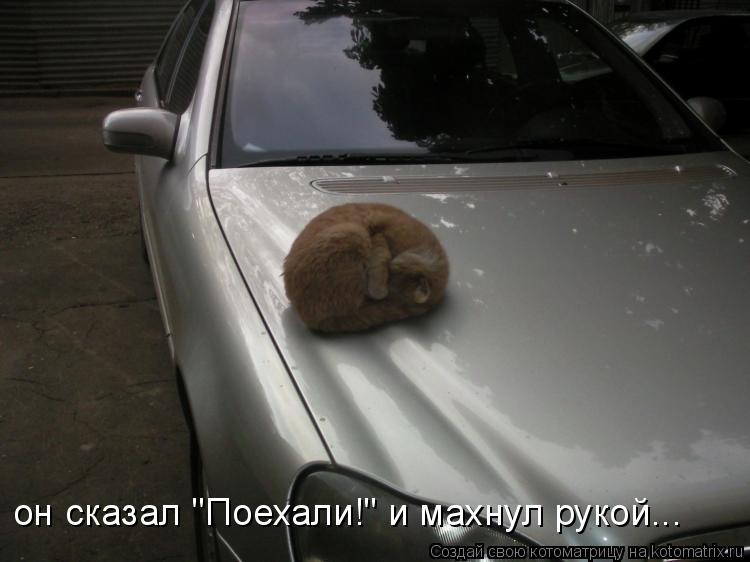 он сказал "Поехали!" и махнул рукой...... Котоматрица: он сказал "Поехали!" и махнул рукой...