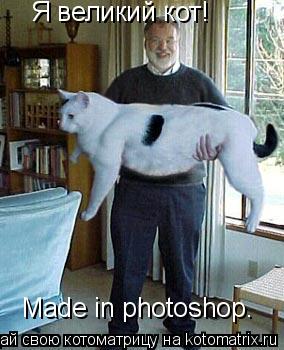 Я великий кот! Made in photoshop.... Котоматрица: Я великий кот! Made in photoshop.