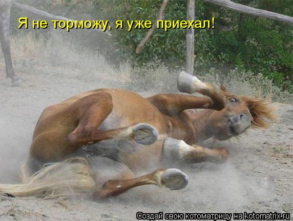 Я не торможу, я уже приехал!... Котоматрица: Я не торможу, я уже приехал!