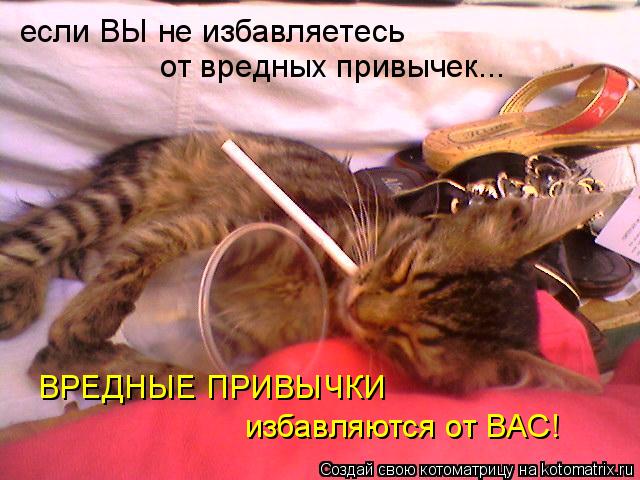 если ВЫ не избавляетесь от вредных привычек... ВРЕДНЫЕ ПРИВЫЧКИ избавляются от ВАС!... Котоматрица: если ВЫ не избавляетесь от вредных привычек... ВРЕДНЫЕ ПРИВЫЧКИ избавляются от ВАС!