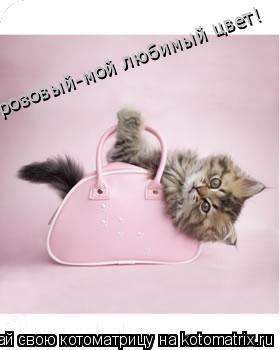 розовый-мой любимый цвет!... Котоматрица: розовый-мой любимый цвет!
