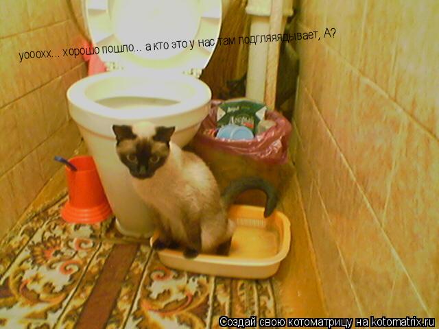 уооохх... хорошо пошло... а кто это у нас там подгляяядывает, А?... Котоматрица: уооохх... хорошо пошло... а кто это у нас там подгляяядывает, А?