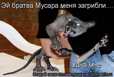 Котоматрица: Эй братва Мусара меня загрибли.... хана мне