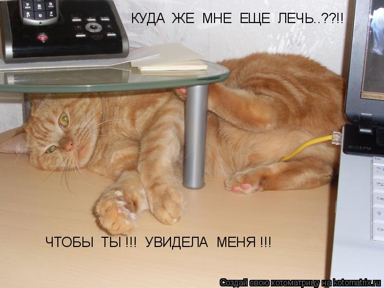 Котоматрица: КУДА  ЖЕ  МНЕ  ЕЩЕ  ЛЕЧЬ..??!!   ЧТОБЫ  ТЫ !!!  УВИДЕЛА  МЕНЯ !!!